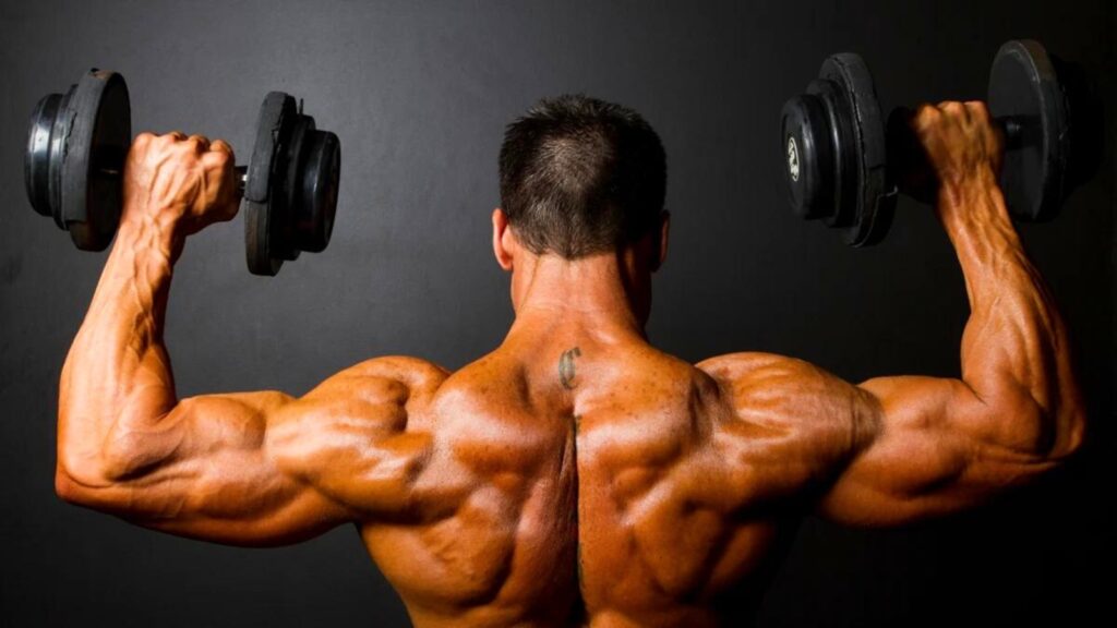 The Best Bodybuilding Shoulder Workout, Customized to Your Experience Level