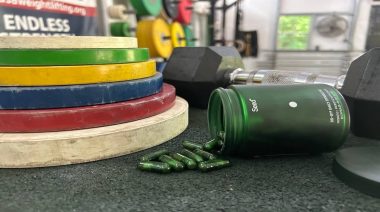 Seed Probiotic Review (2026): A Dietitian’s Take