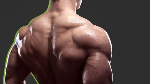 The Best Bodybuilding Back Workout, Customized to Your Experience Level